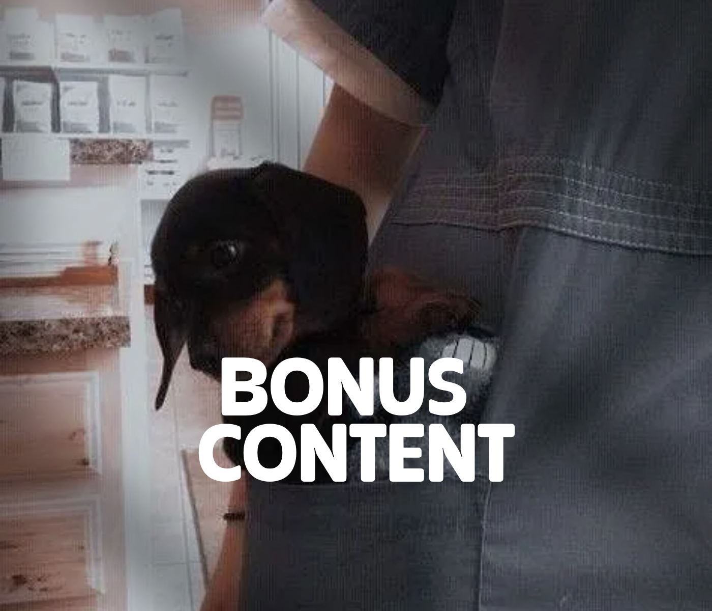 bonus content